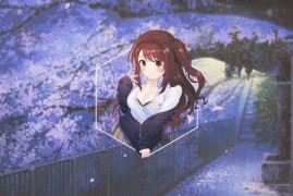 蓝色警戒黑客怎么抓，一、定义，谁是核心蓝色警戒黑客？